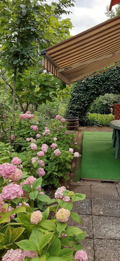 Apartma As Lesce  Dış mekan fotoğraf